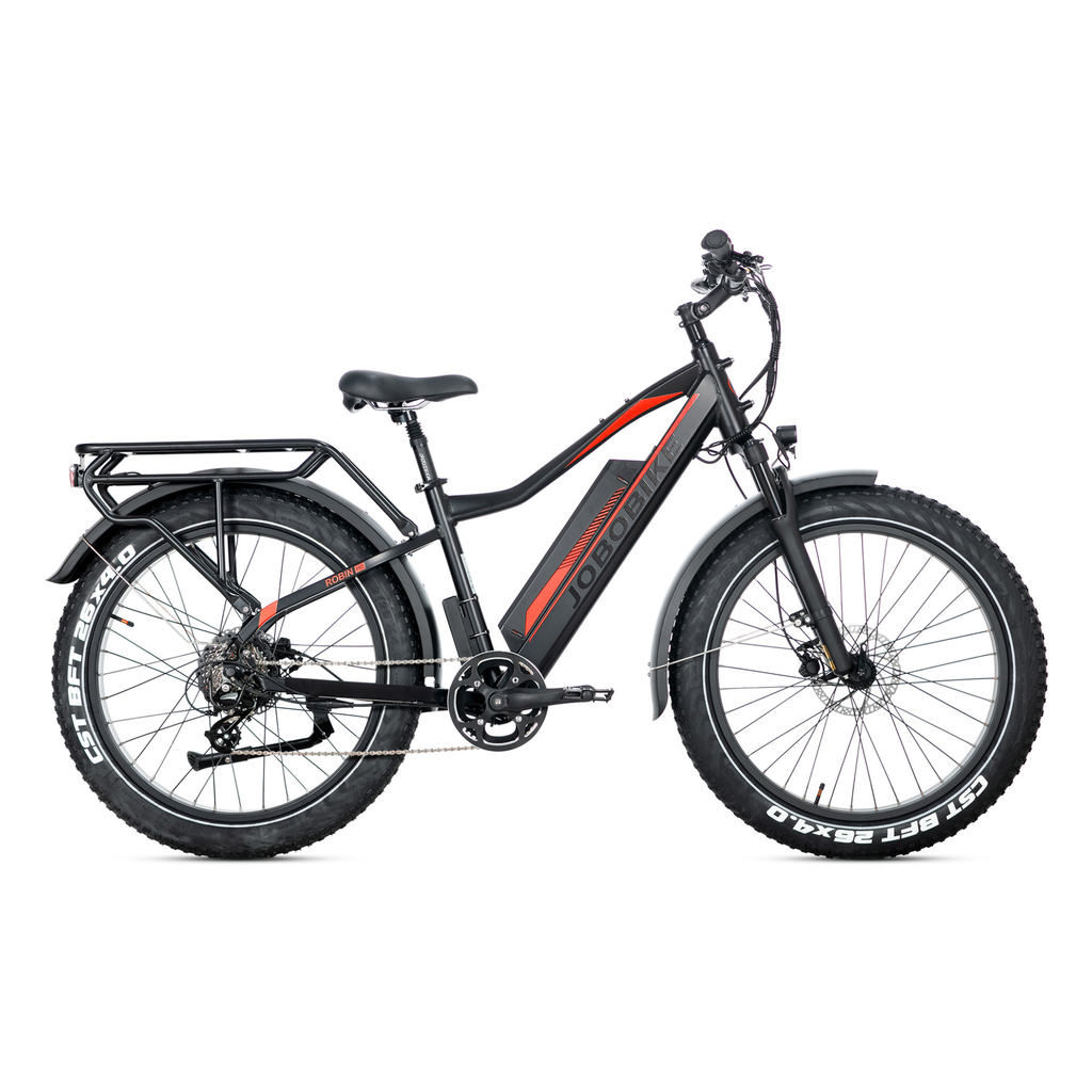 Elektrinis dviratis Jobobike Robin Pro
