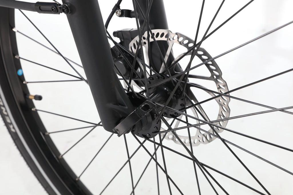 Elektrinis dviratis Jobobike Dyno GT