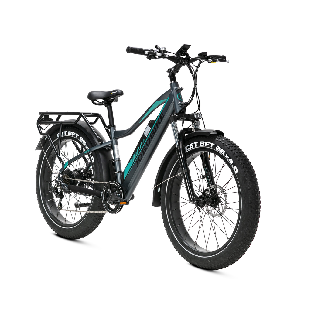 Elektrinis dviratis Jobobike Robin Pro