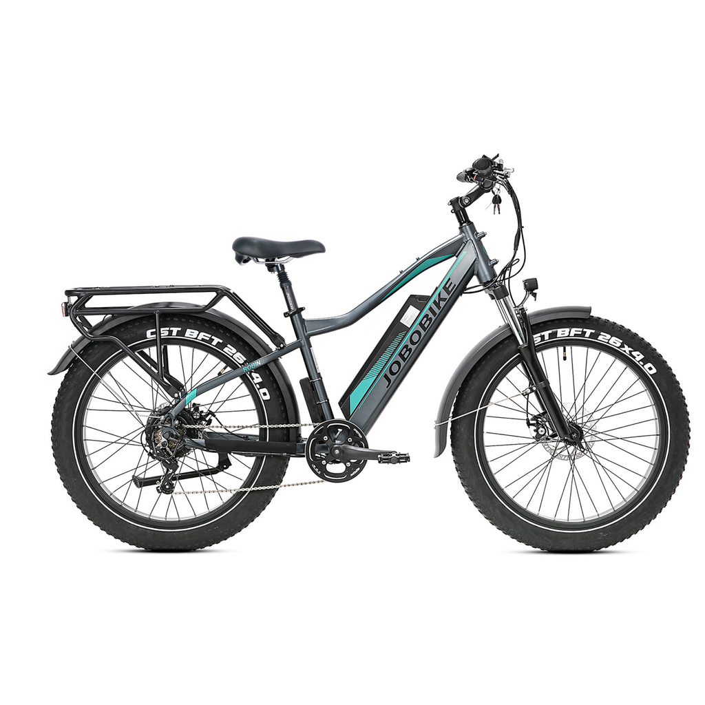 Elektrinis dviratis Jobobike Robin Pro