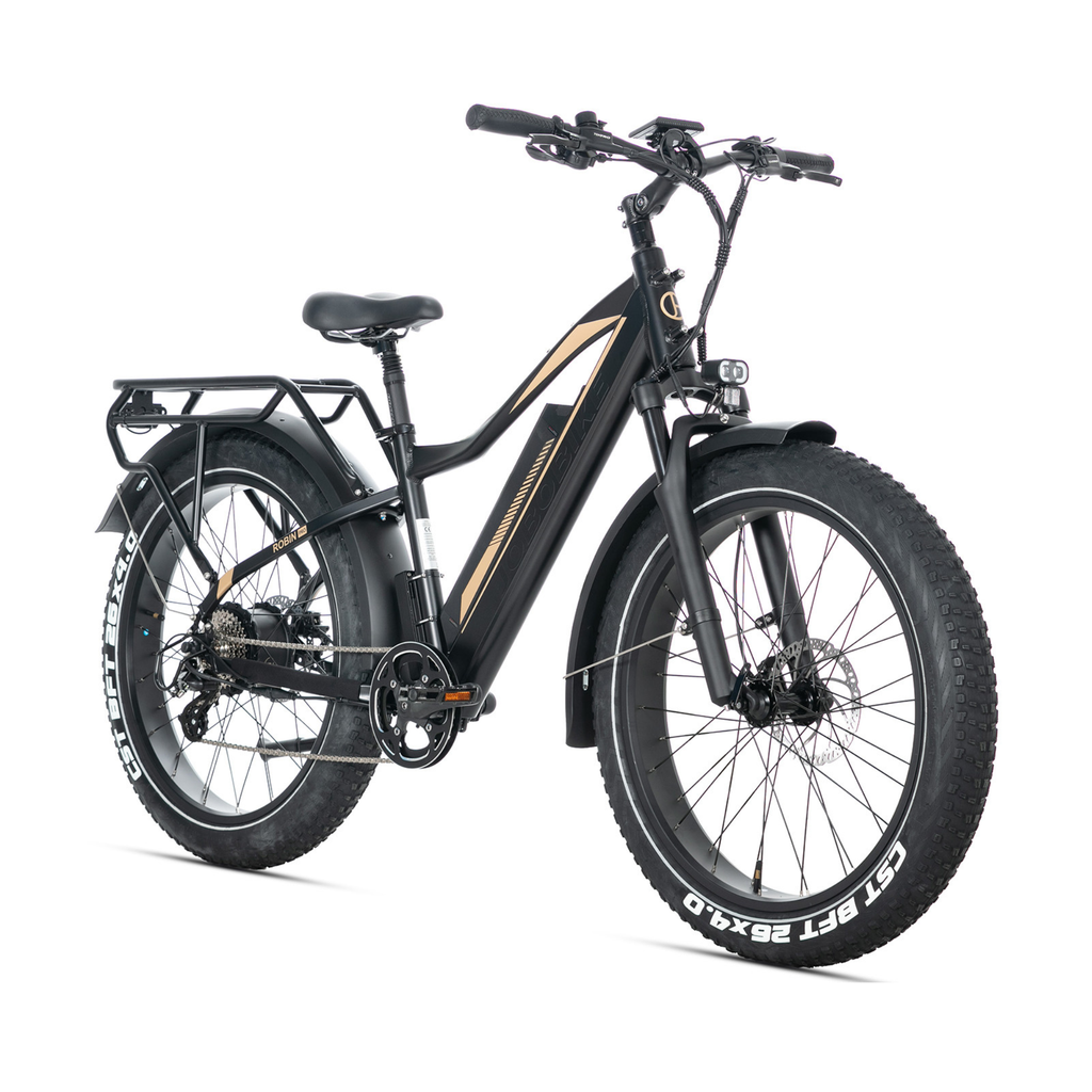 Elektrinis dviratis Jobobike Robin Pro