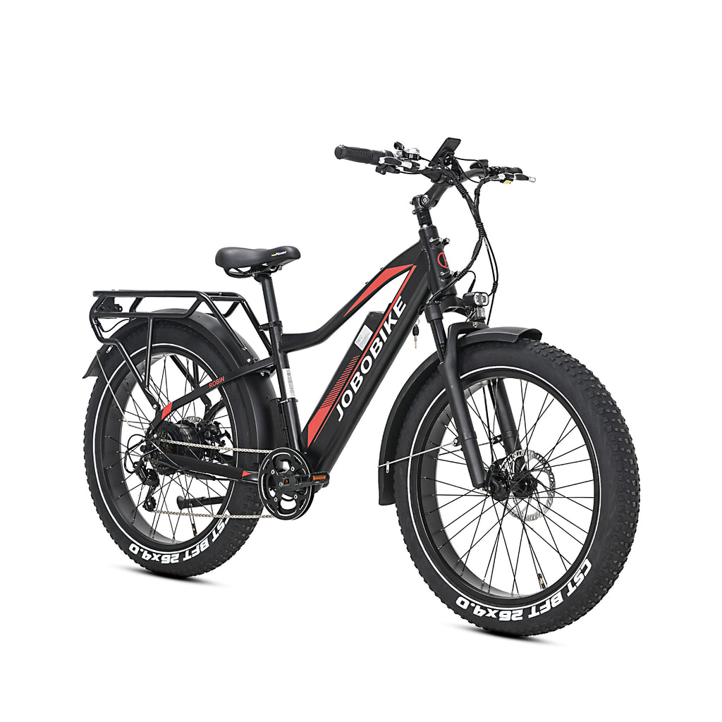 Elektrinis dviratis Jobobike Robin