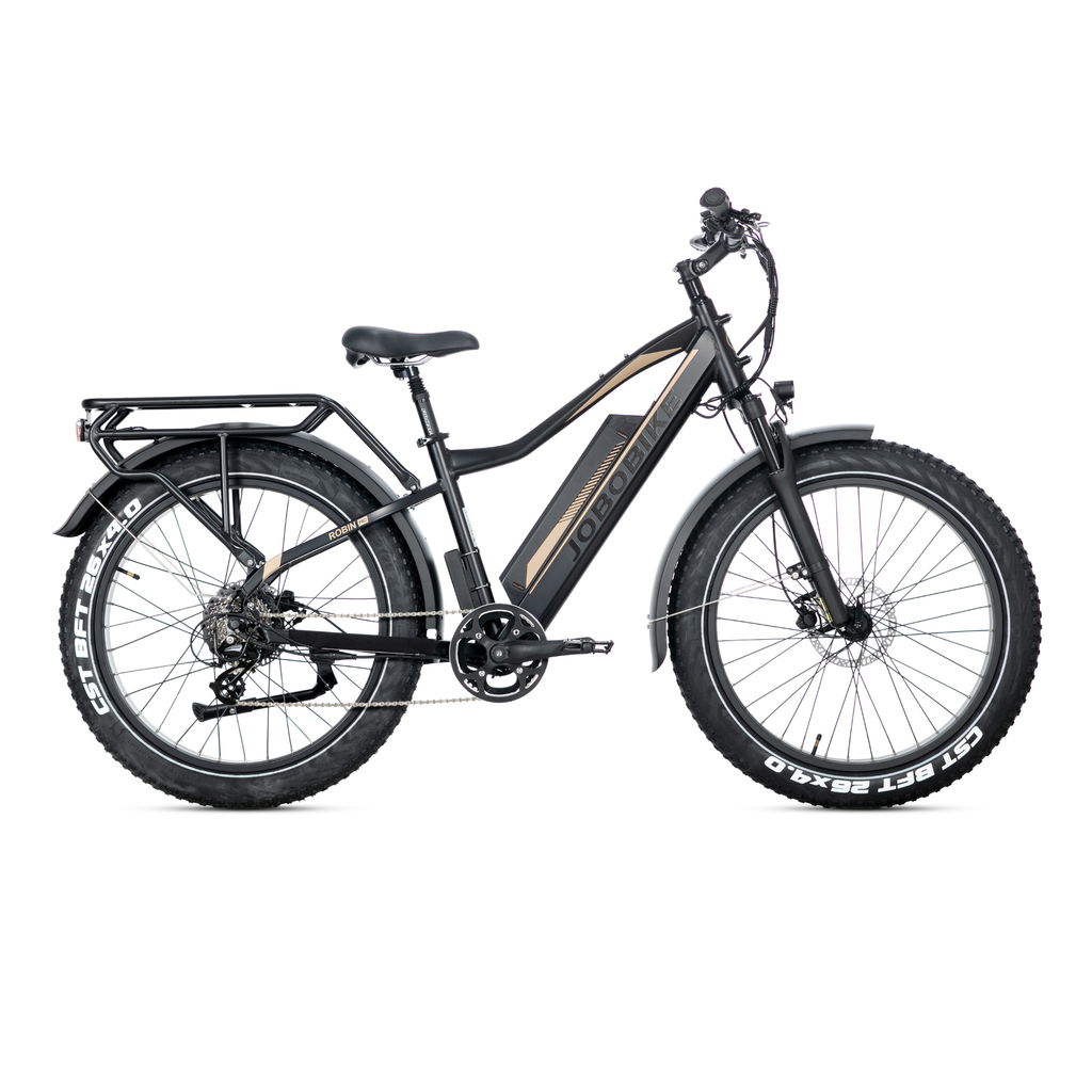 Elektrinis dviratis Jobobike Robin Pro