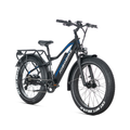 Elektrinis dviratis Jobobike Robin Pro