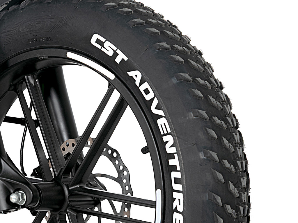Elektrinis dviratis Jobobike Vortex